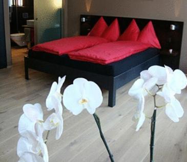 Hotel Quersinn Pfäffikon Chambre photo